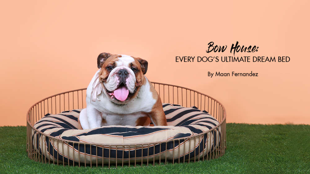 Bow House Every Dog's Ultimate Dream Bed Calyxta