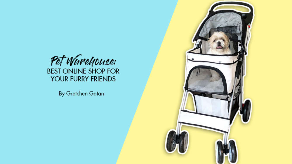 Pet Warehouse Best Online Shop For Your Furry Friends Calyxta