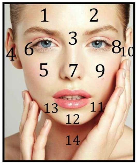 Acne Danger Zones Face Mapping Your Zits Calyxta