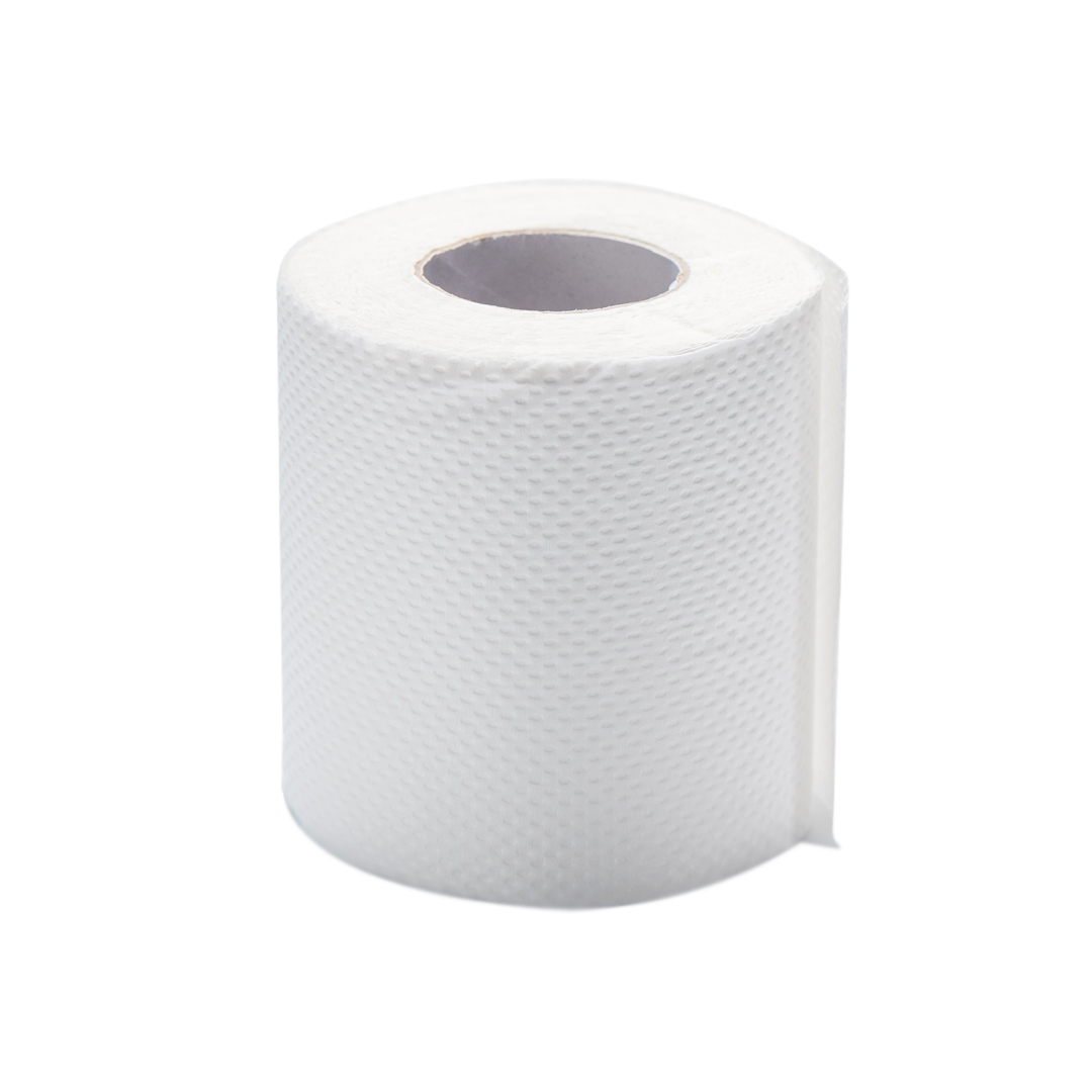 Shop Regular Toilet Roll Philippines - Calyxta